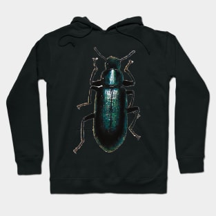 Black False Mealworm Beetle Hoodie